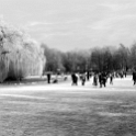 Winter time 2009 (1)
