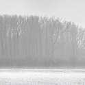 Winner theme contest "COLD" 2010: Photosite.nl