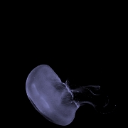 210513 197Z