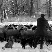 Winter time 2009 (6) : 070109