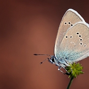 Winner Photo of the Week 2011: Phototime.nl