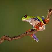 Winner Photo of the Week 2012: Photodrome.nl