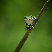 Winner Photo of the Week 2013: Photodrome.nl