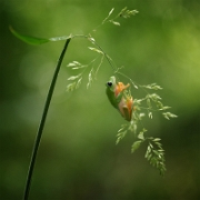 Winner Photo of the Week 2014: Photodrome.nl