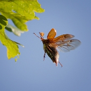 Winner Photo of the Week 2012: Phototime.nl