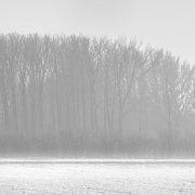 Winner theme contest "COLD" 2010: Photosite.nl