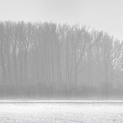 Winner theme contest "COLD" 2010: Photosite.nl