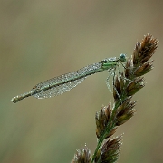 010712 011Z