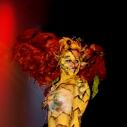 Maskerade 2010 (61)