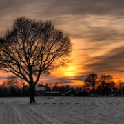 Winter sunset