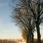 Wintertime 2009 (3)