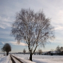 Wintertime 2009 (7)