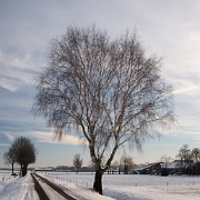 Wintertime 2009 (7)