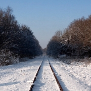 Winter time 2010 (2)