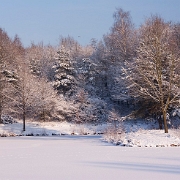 Winter time 2010 (4)