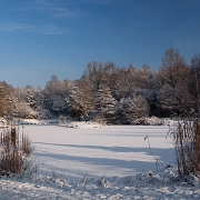 Winter time 2010 (9)