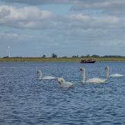 DSC02713-Verbeterd-NR kopie