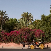 Sevilla Spain (4)