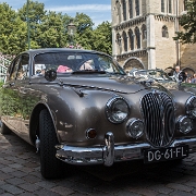 008 kopie